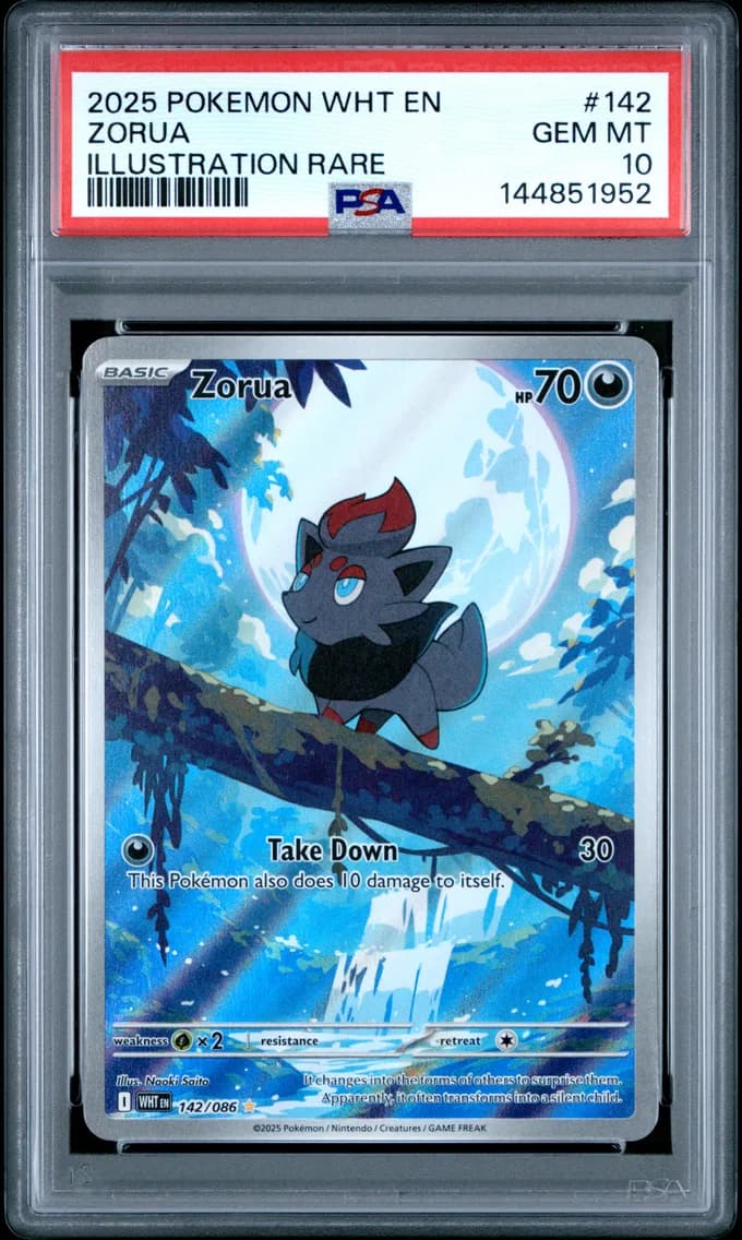 Zorua, PSA 10