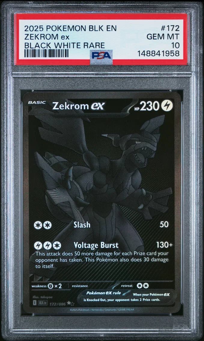 Zekrom EX, PSA 10
