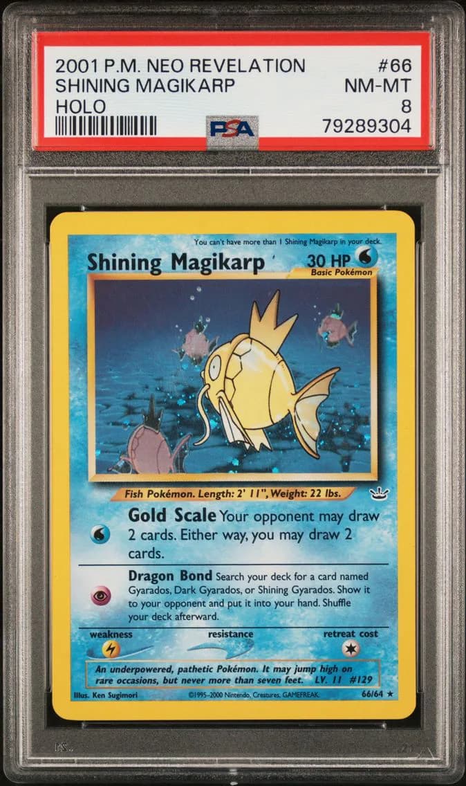 Shining Magikarp-Holo, PSA 8