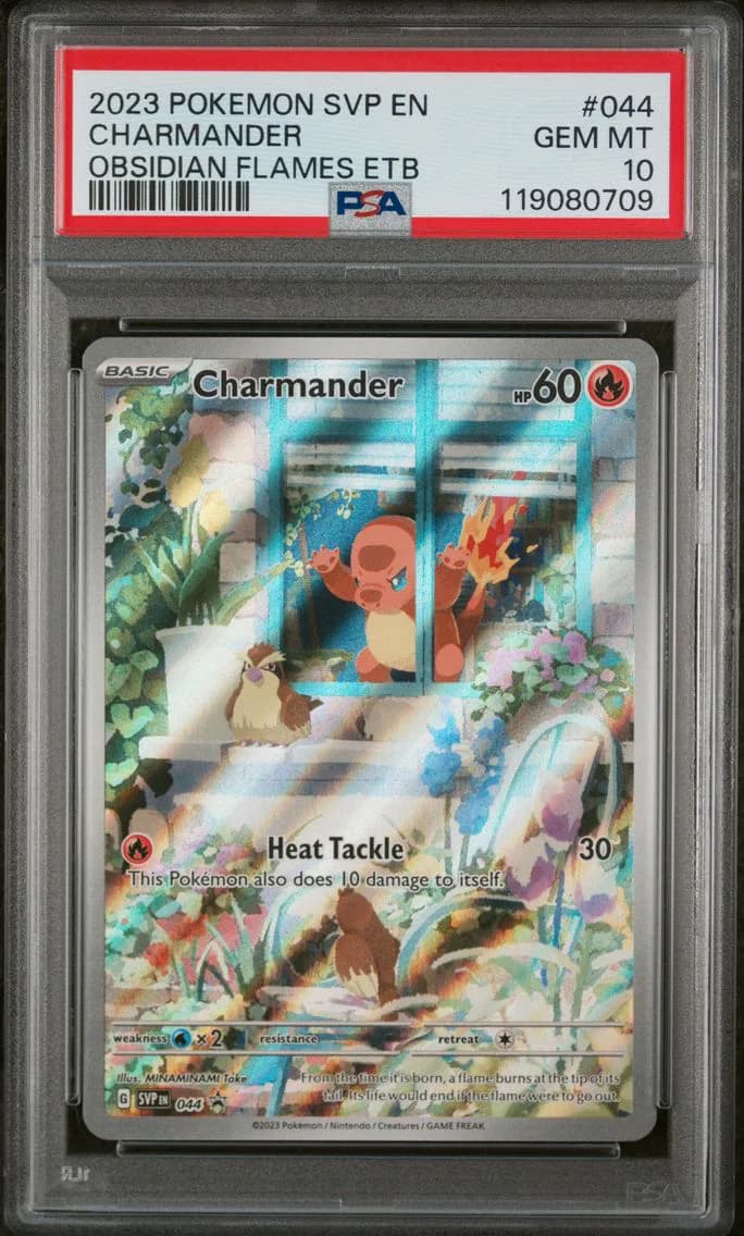 Charmander, PSA 10