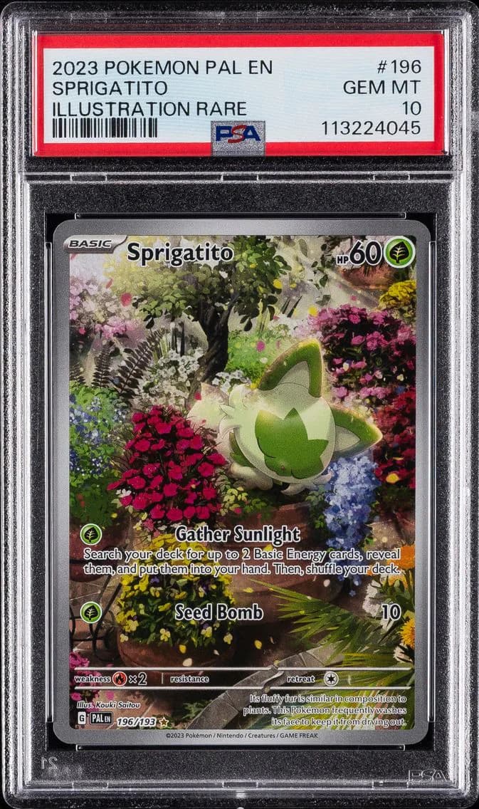 Sprigatito, PSA 10