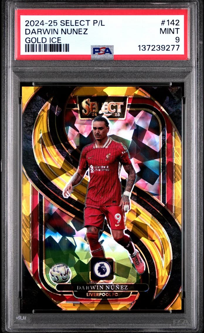 Darwin Nunez, PSA 9