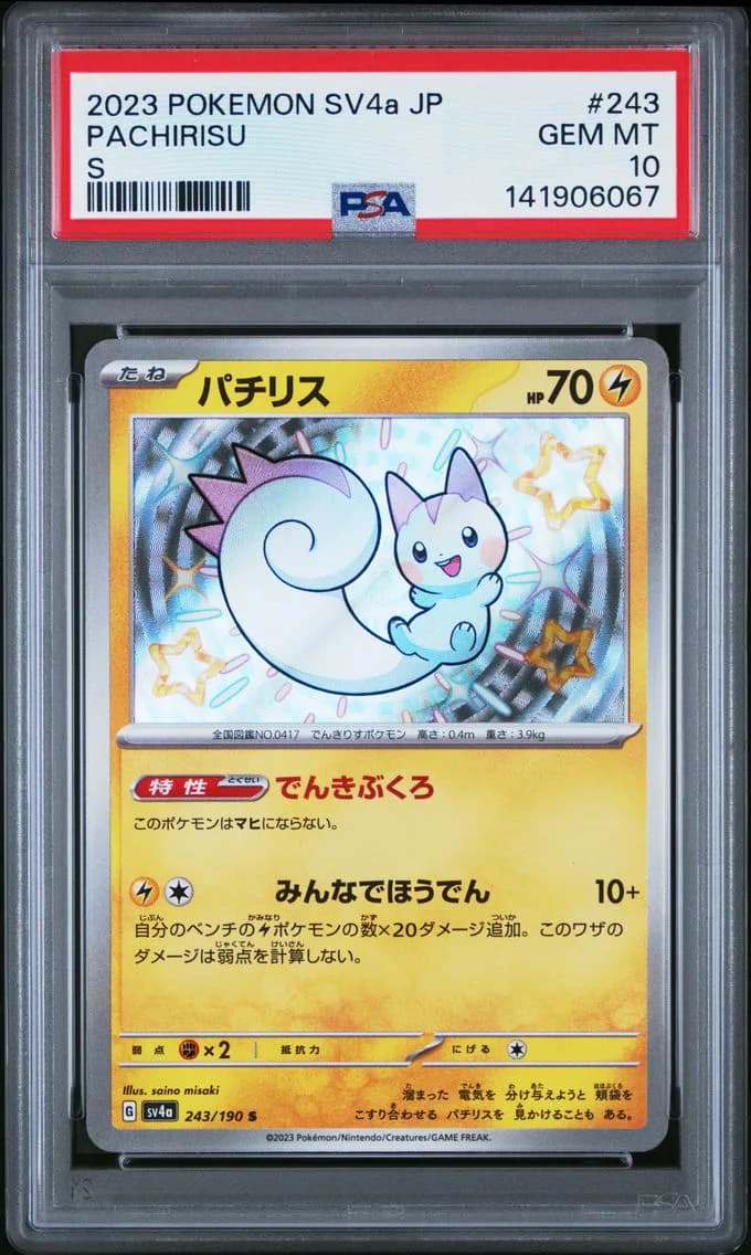 Pachirisu, PSA 10