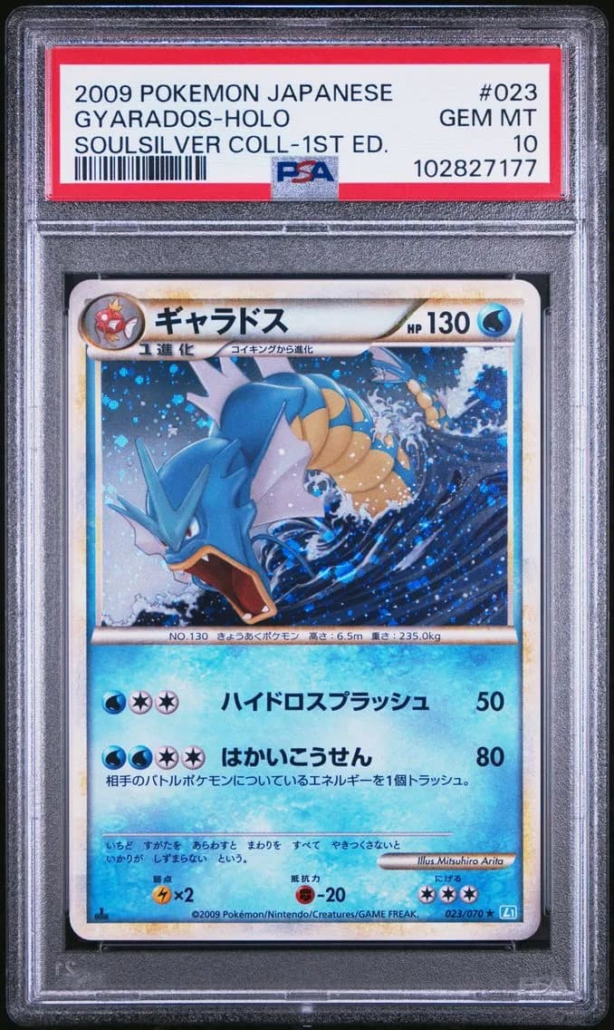 GYARADOS-HOLO, PSA 10
