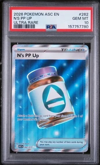 N's PP Up