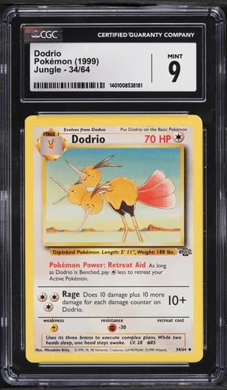 Dodrio