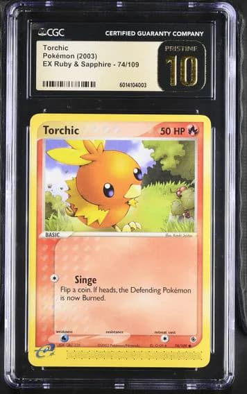 Torchic