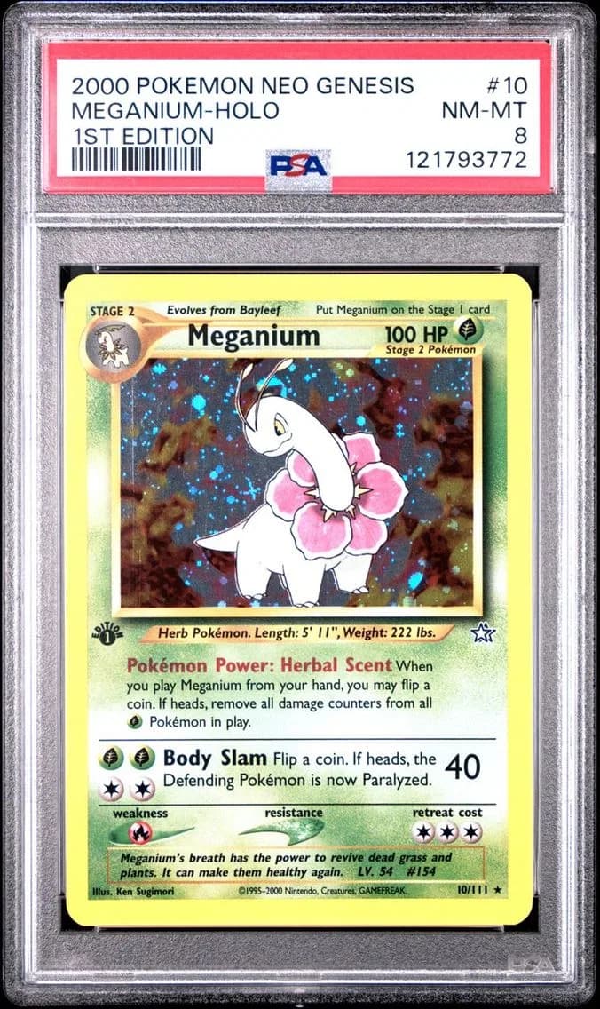 MEGANIUM-HOLO, PSA 8