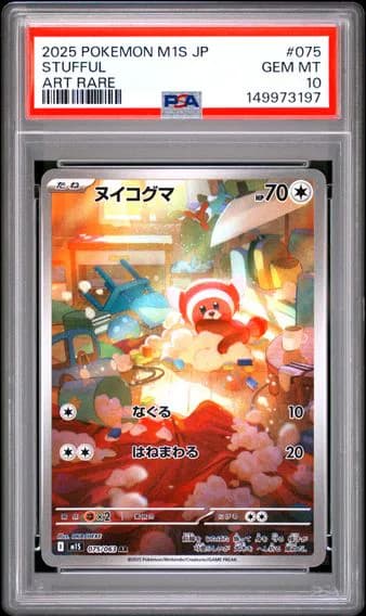 ヌイコグマ
