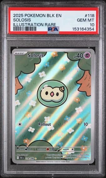Solosis