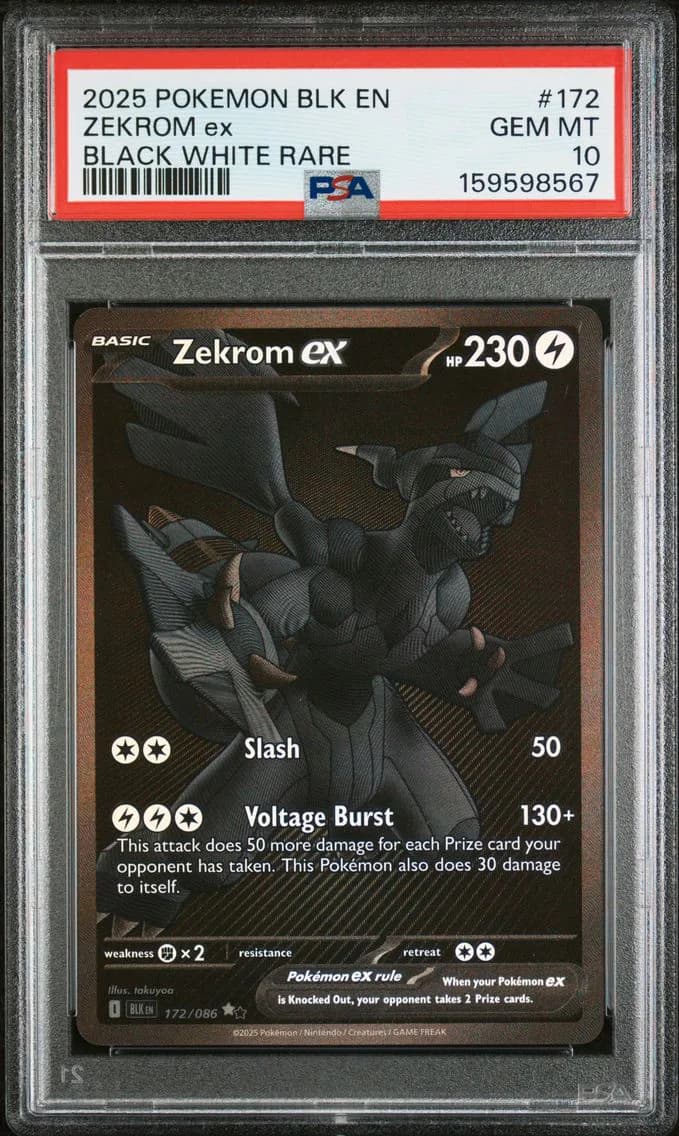 Zekrom EX, PSA 10
