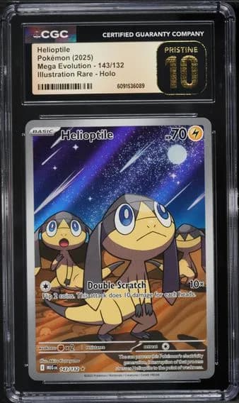 Helioptile