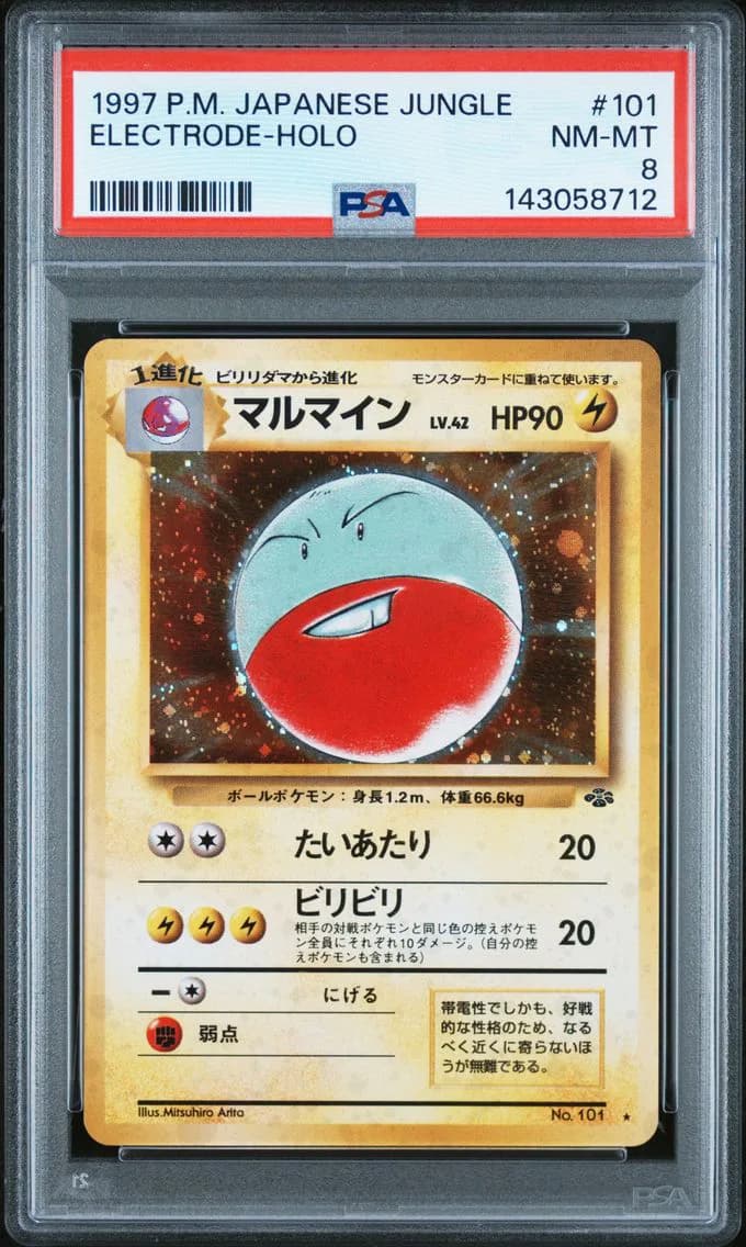 Electrode-Holo, PSA 8