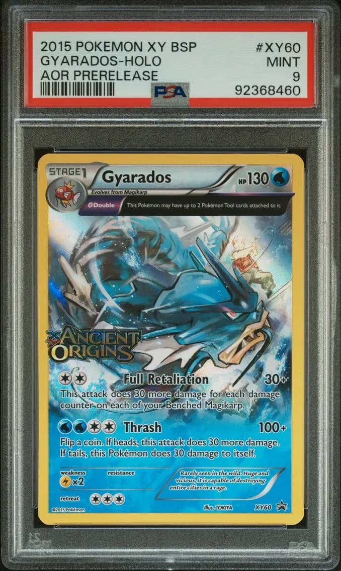Gyarados-Holo, PSA 9