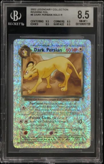 Dark Persian