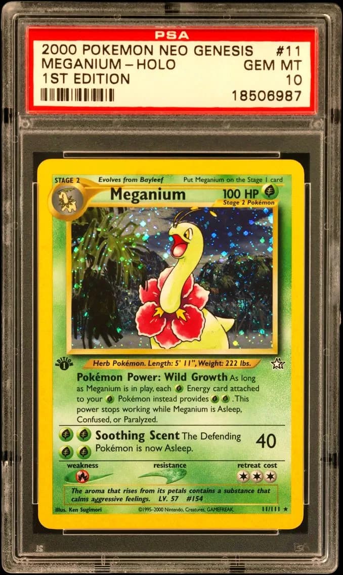 Meganium-Holo, PSA 10