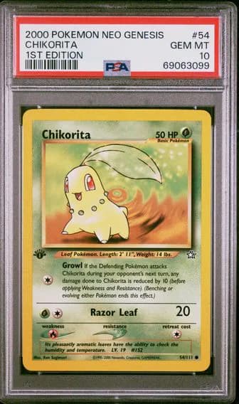Chikorita