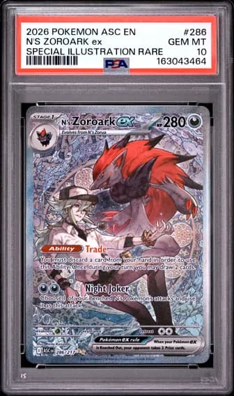 N's Zoroark ex