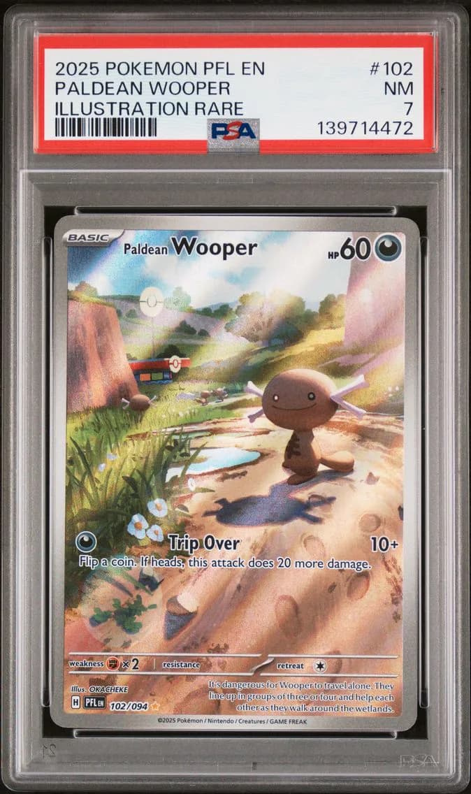 Paldean Wooper, PSA 7